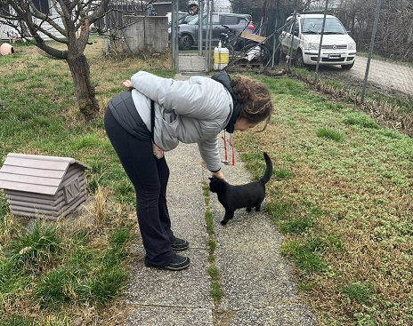 25/2/2025: Una 'pizzata' per il gattile di Ozzano dell'Emilia
