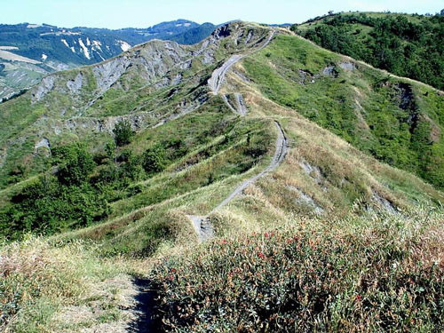 Musica a Ozzano Emilia - Rassegna Crinali 2025