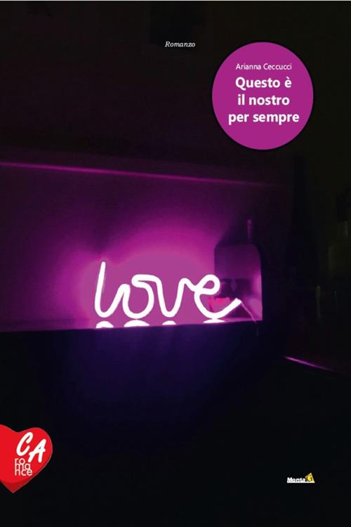 cover romanzo Ceccucci
