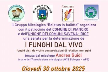 30 ottobre 2025 - Pianoro: "I Funghi dal Vivo" - per imparare a riconoscere i funghi con il micologo Andrea Guidi