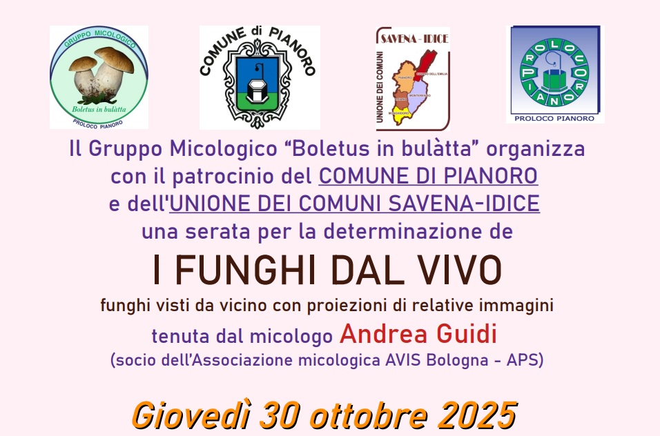 30 ottobre 2025 - Pianoro: "I Funghi dal Vivo" - per imparare a riconoscere i funghi con il micologo Andrea Guidi