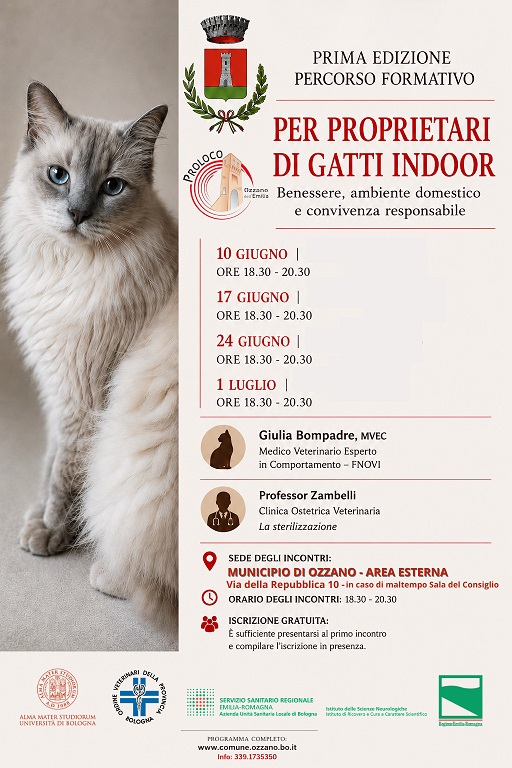 Locandina calendario incontri patentino gatti