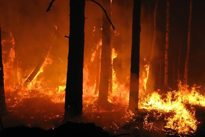 Divieto di accendere fuochi o utilizzare strumenti che producano fiamme, scintille o braci, vietati gli abbruciamenti di residui vegetali e delle stoppie