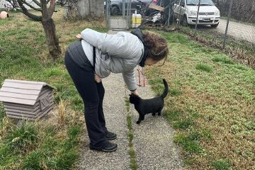 25/2/2025: Una 'pizzata' per il gattile di Ozzano dell'Emilia