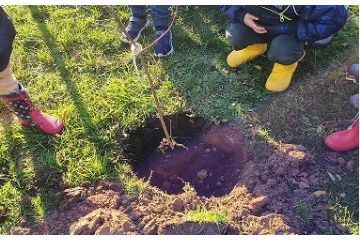 Giornata nazionale degli Alberi: nuovo appuntamento domenica 30 novembre