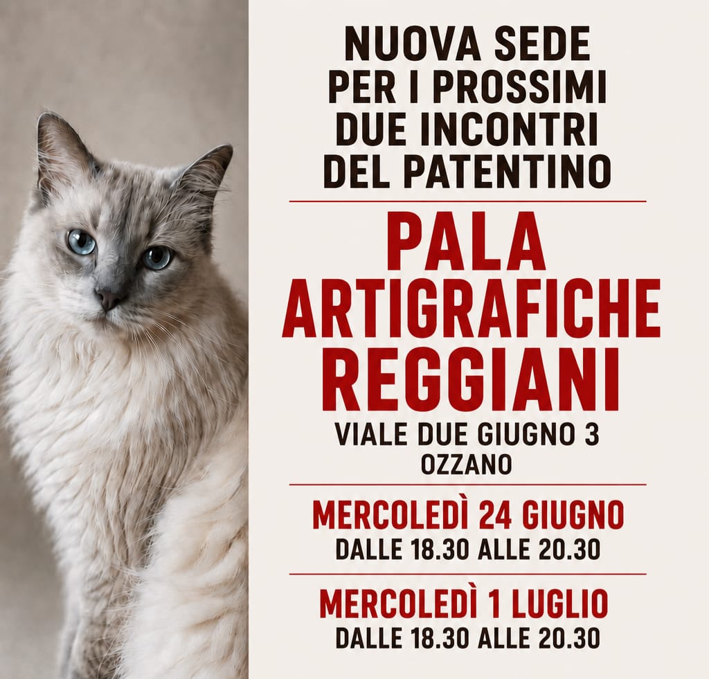 Patentino gatti indoor: Nuova sede per gli ultimi due incontri