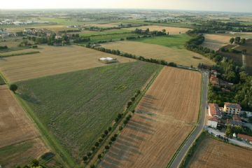 Claterna -area archeologica