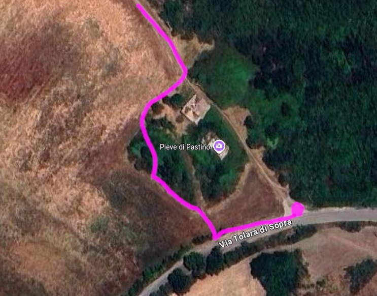 Il nuovo tracciato del sentiero CAI BO 801B, riaperto grazie al lavoro del gruppo sentieristica del CAI di Bologna