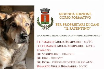 Patentino per cani: parte il secondo corso