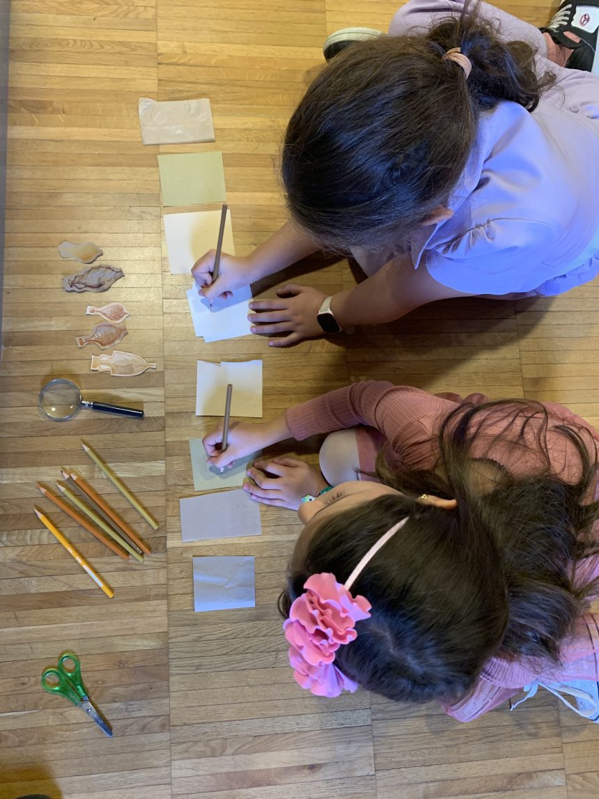 Tutti gli appuntamenti del Museo di Claterna (marzo-maggio)