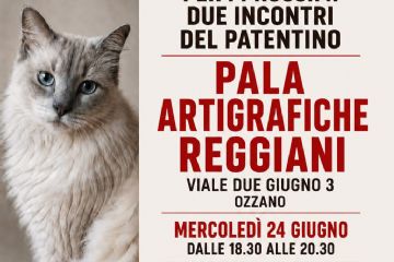 Patentino gatti indoor: Nuova sede per gli ultimi due incontri