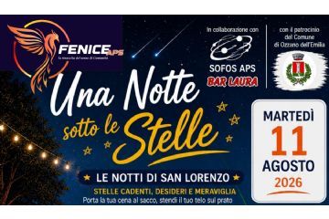 Osservazione guidata della volta celeste nella notte di san Lorenzo