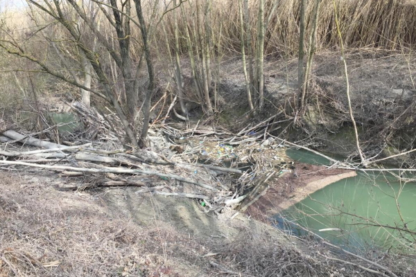 La Regione autorizza la raccolta del legname negli alvei dei fiumi per tutto il 2025