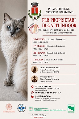 Corso “Il Patentino” per Proprietari di Gatti Indoor