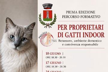 Locandina calendario incontri patentino gatti